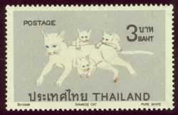 Sacred Cats of Siam